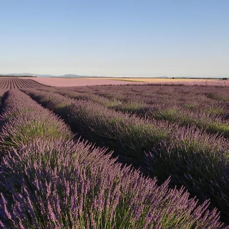 Zofia - T2 En Duplex Avec Terrasse Apartment *