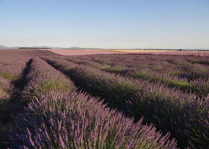 Zofia - T2 En Duplex Avec Terrasse Apartment *